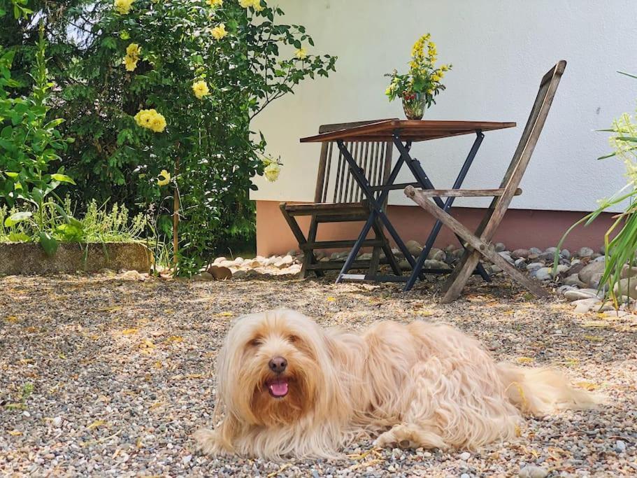 Gaestehaus Im Garten Zeitlofs Exteriér fotografie